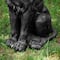 Glitzhome® 27.75" MGO Guardian Sitting Lion Garden Statue